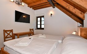 Zamek Castle Racice - Podzamci Undercastle